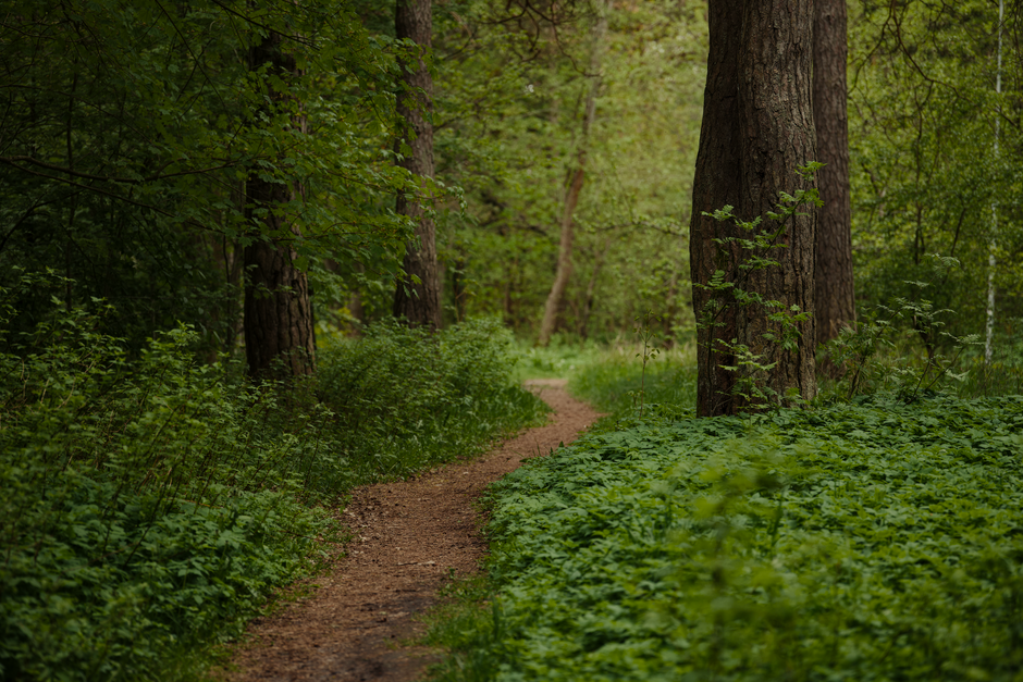 A Balanced Approach To Wellness for Busy People