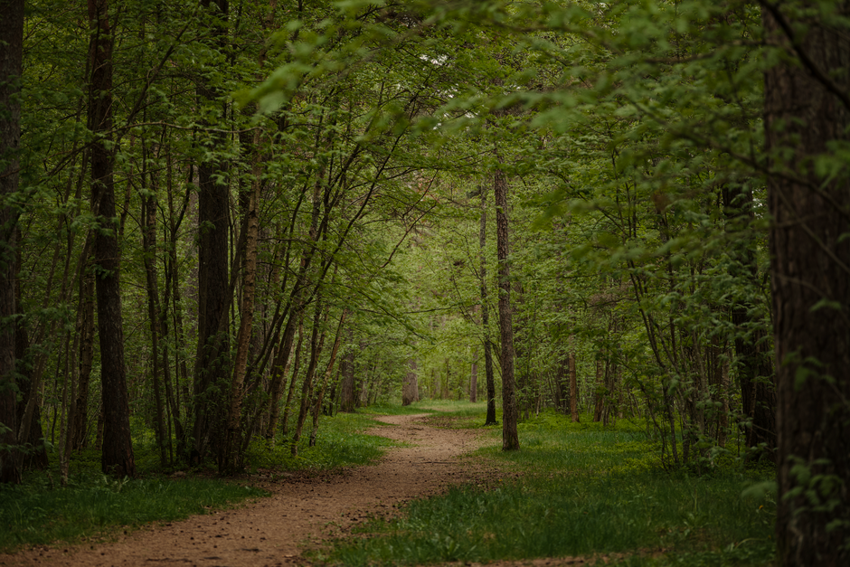 A Balanced Approach To Wellness: Where to Start
