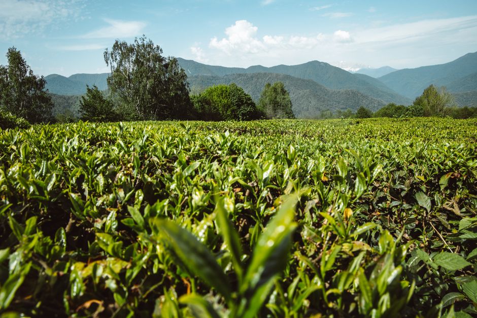 A Sensible Look at Seasonal Changes And How The Body Responds, Without Overthinking It
