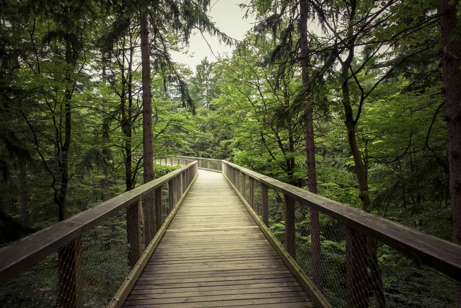 Building a Daily Routine Around The Habit Of Moving Through The Day