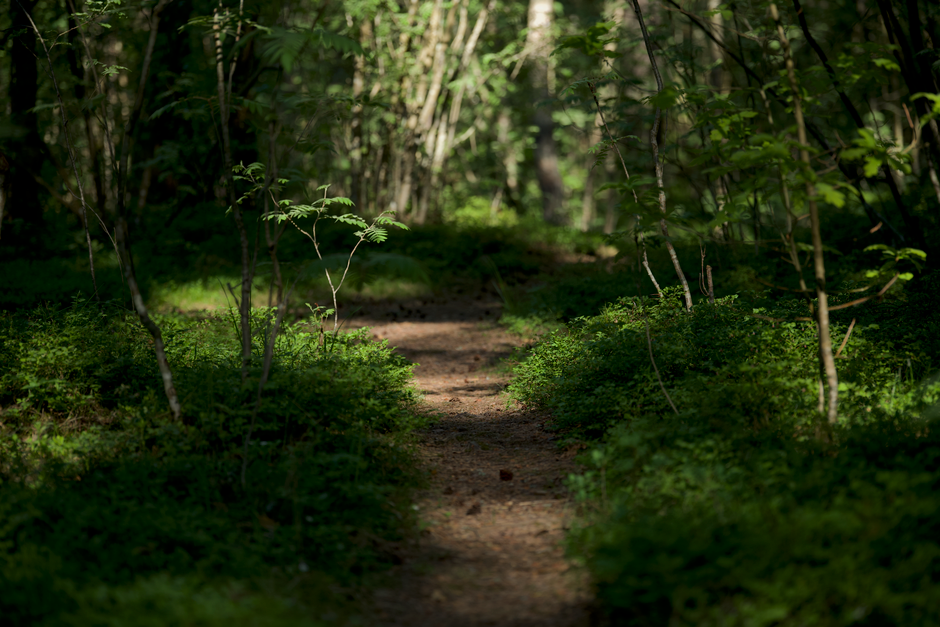 Caring For Your Overall Health: What Changes With Age