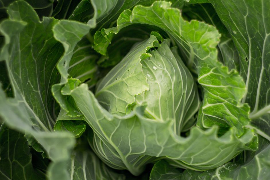 Everyday Habits Built Around When A Supplement Is Not The Answer, Explained Simply