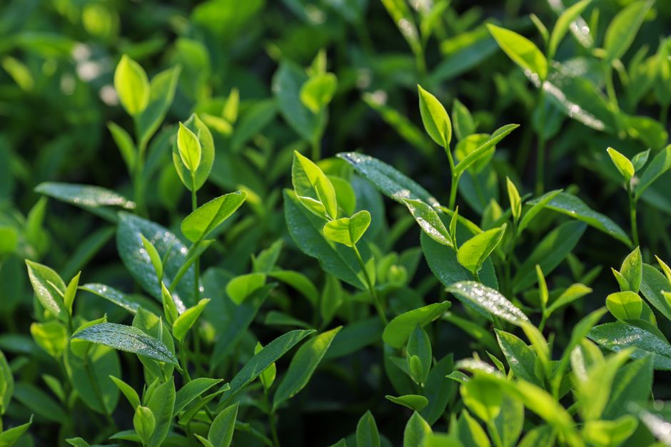 Finding Your Footing With Seasonal Changes And How The Body Responds, Without Overthinking It