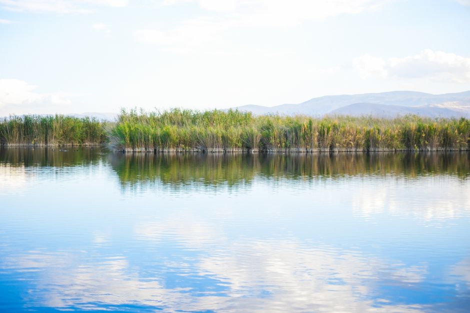 Getting Started With Motivation, Discipline And Self-Compassion