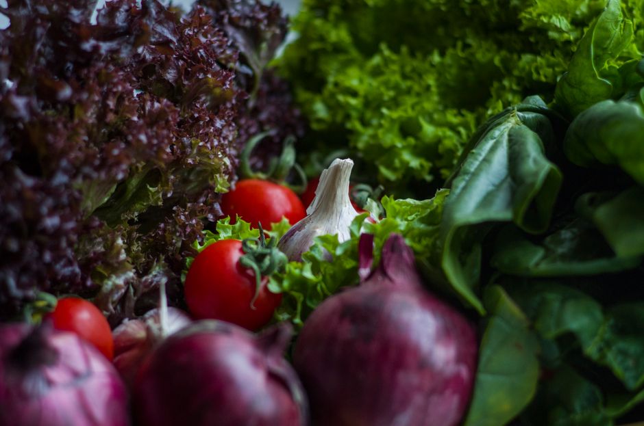 Probiotics In Plain Language: Small Steps That Stick