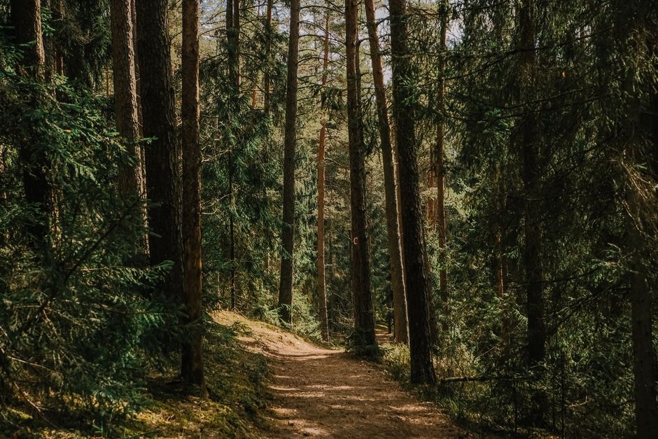 Starting Again After A Setback: Myths and Facts