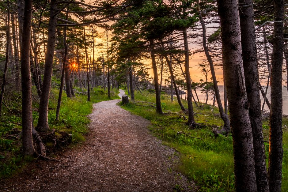 The Habit Of Moving Through The Day in Your 40s, 50s and Beyond