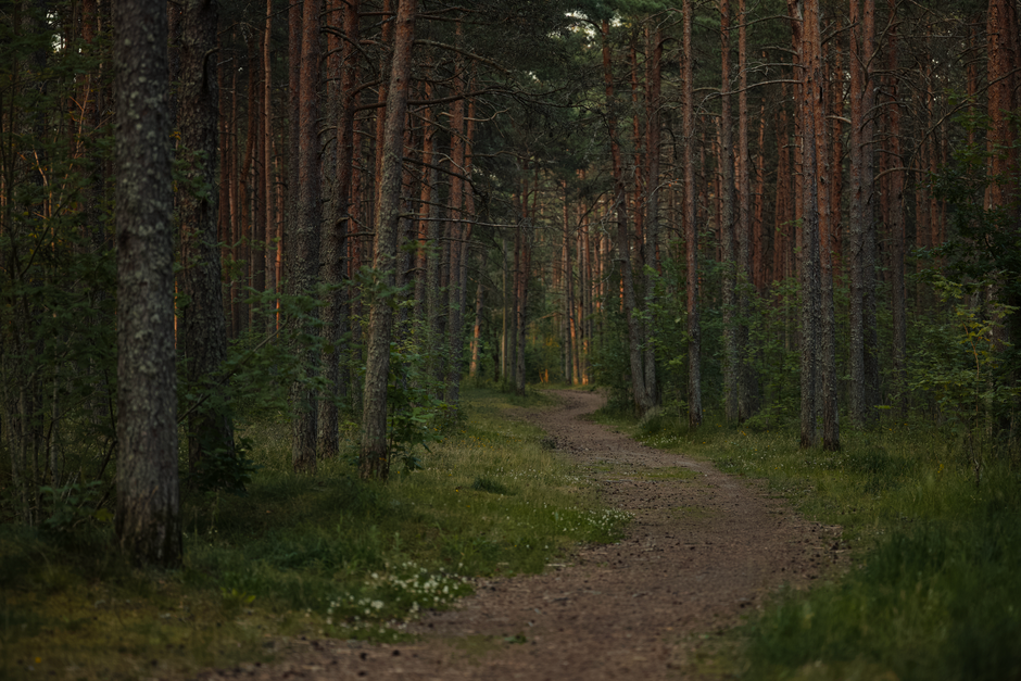 The Habit Of Moving Through The Day: What Actually Works