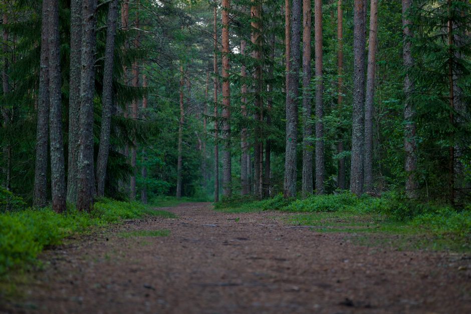 The Ordinary Virtues Of Walking: Myths and Facts