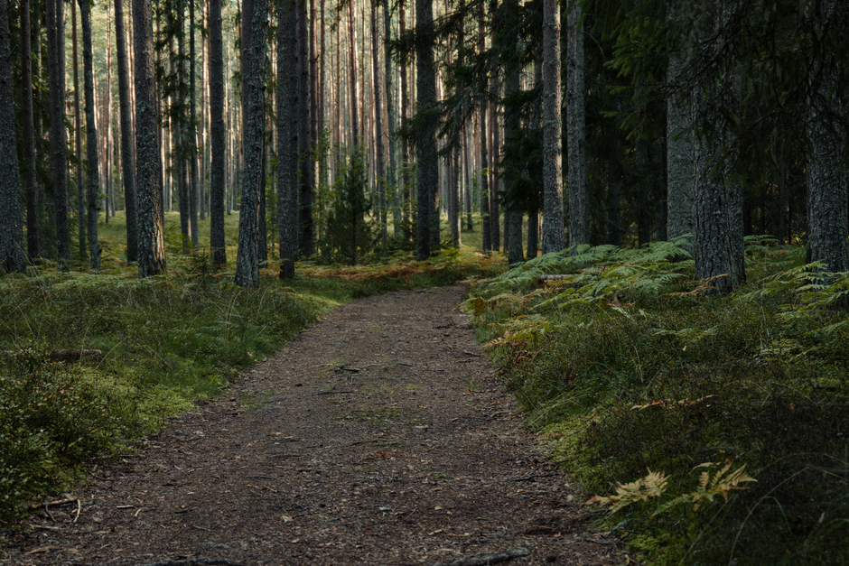 The Pleasure Principle In Healthy Living: Common Mistakes to Avoid