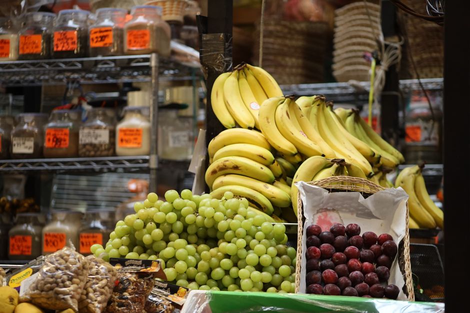 The Role Of Environment In Health: A Time-Friendly Approach — Part 2