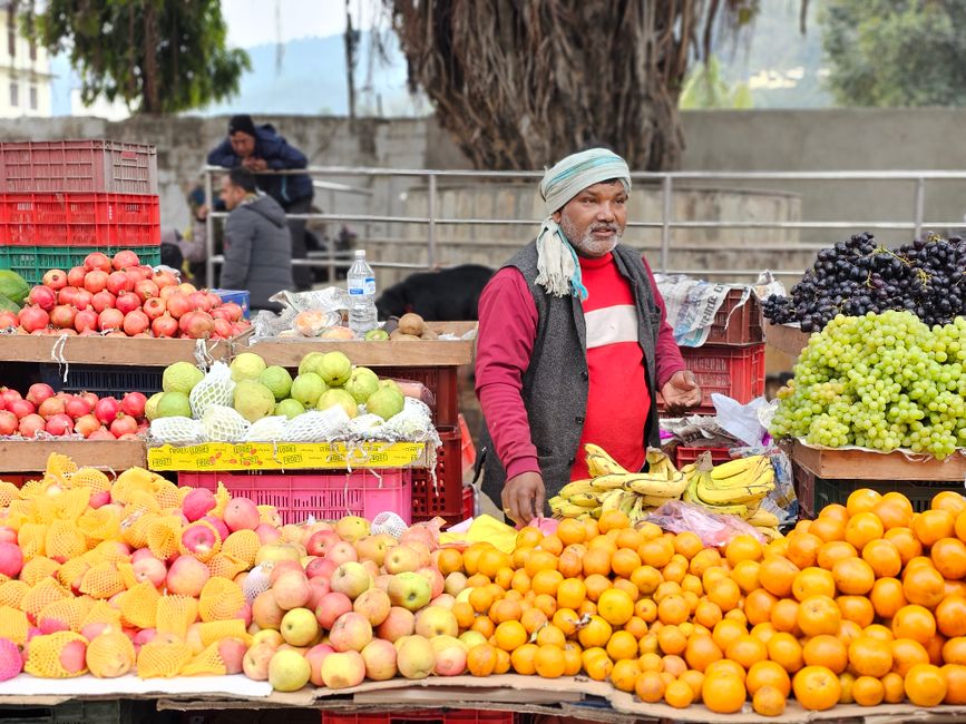 The Role Of Environment In Health: Practical Steps You Can Use
