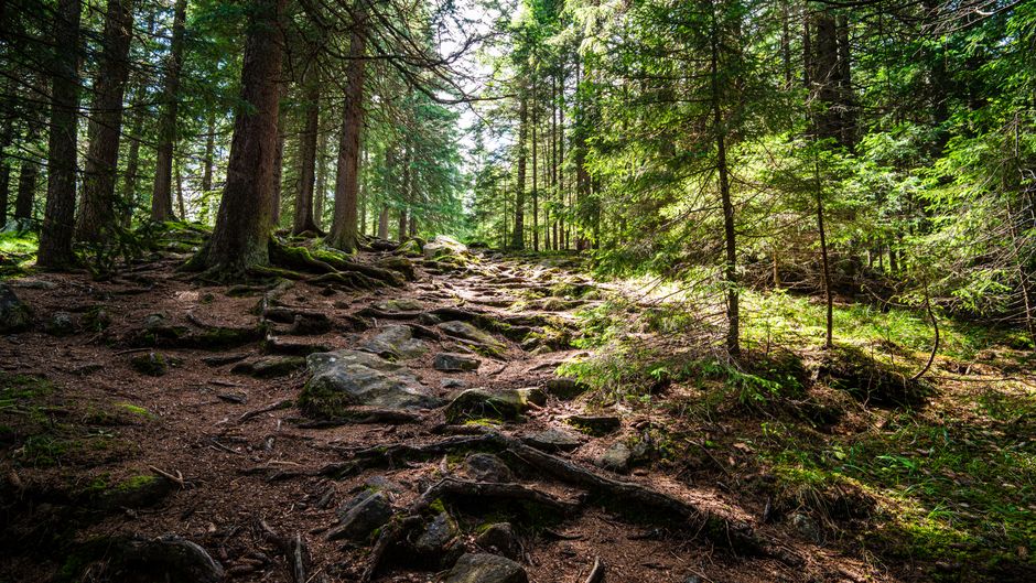 Wellness At Different Life Stages as the Years Add Up