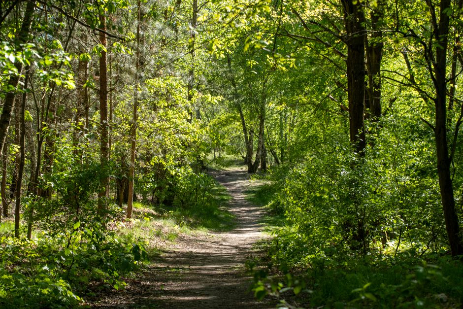 Wellness At Different Life Stages: Sorting Fact From Fiction
