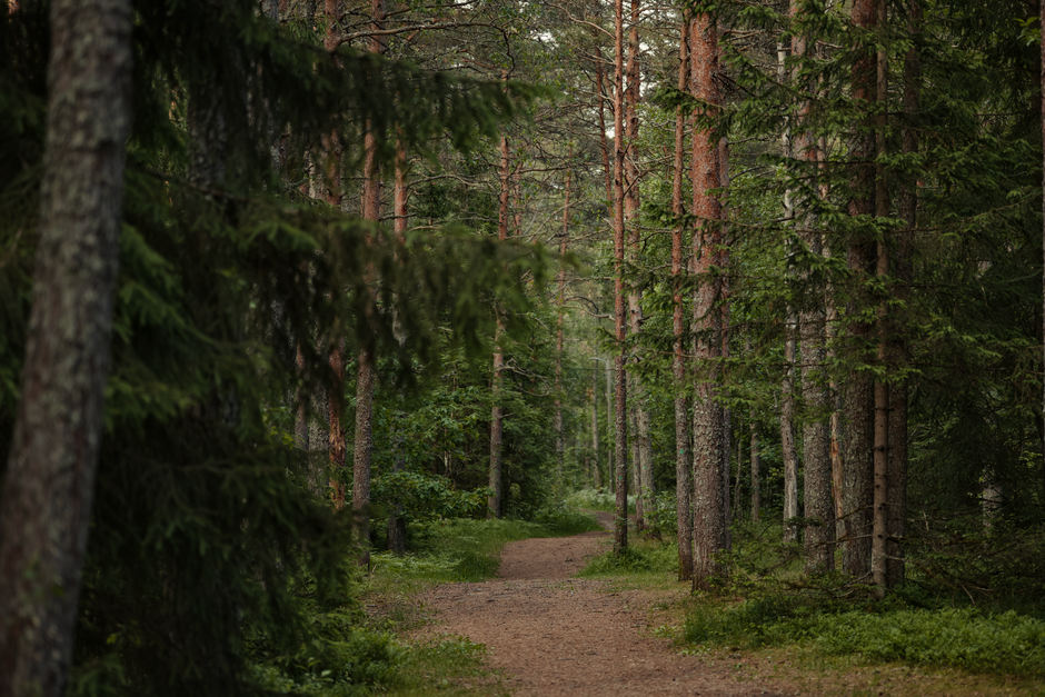 Wellness At Different Life Stages When You're Short on Time