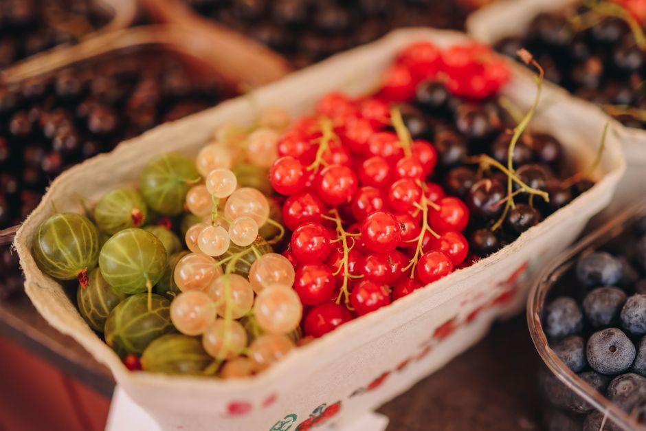 Wellness Beyond The Individual: Sorting Fact From Fiction
