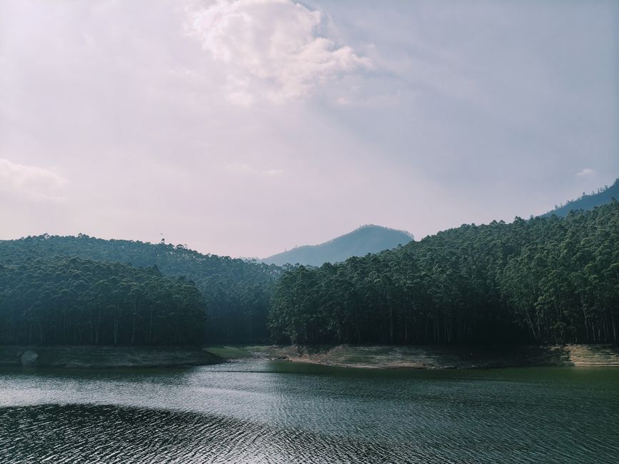 Wellness Without Perfectionism: A Simple Checklist