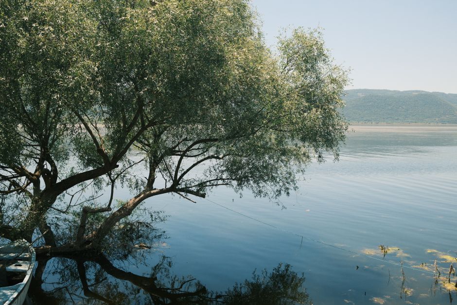 Wellness Without Perfectionism: What Actually Works