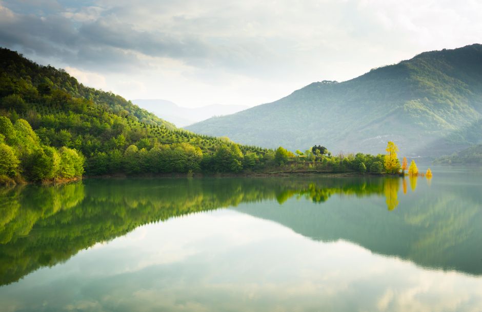 Wellness Without Perfectionism When You're Short on Time — Part 2