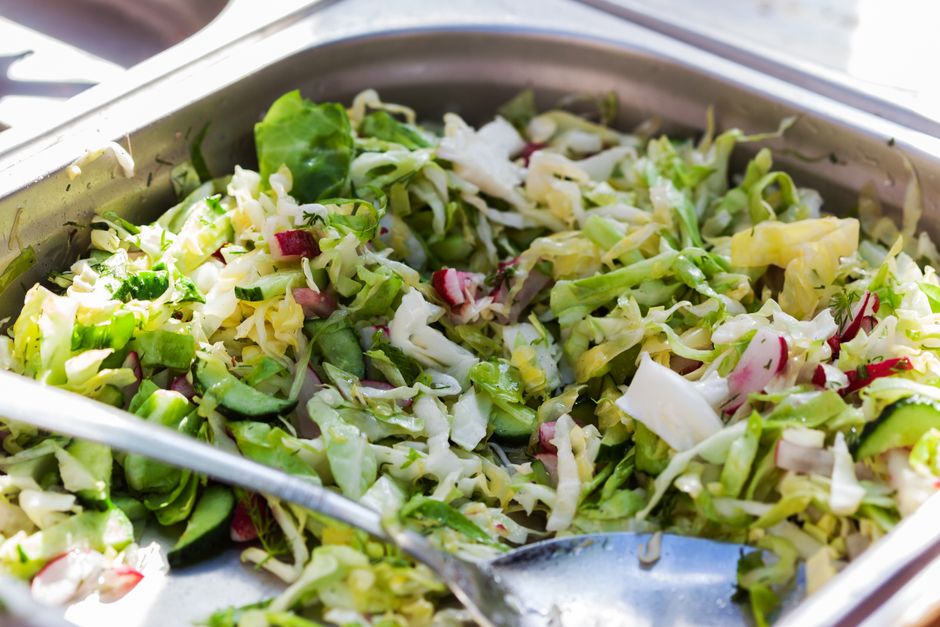 Where to Begin With Probiotics In Plain Language, Day by Day